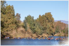 JRH-2007